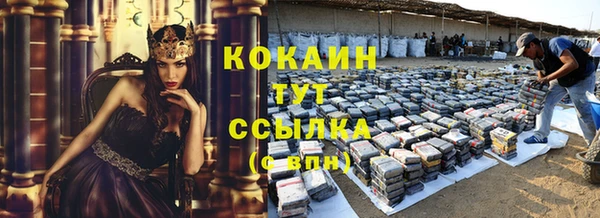 мяу мяу мука Новозыбков
