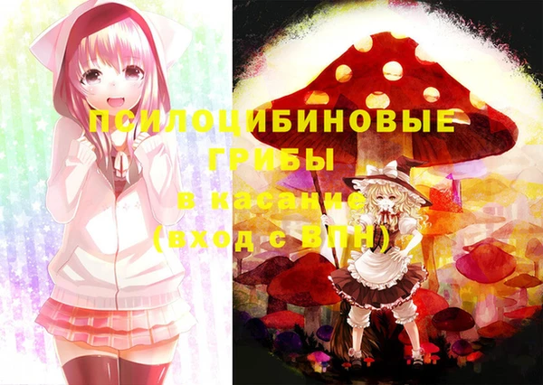 мяу мяу мука Новозыбков