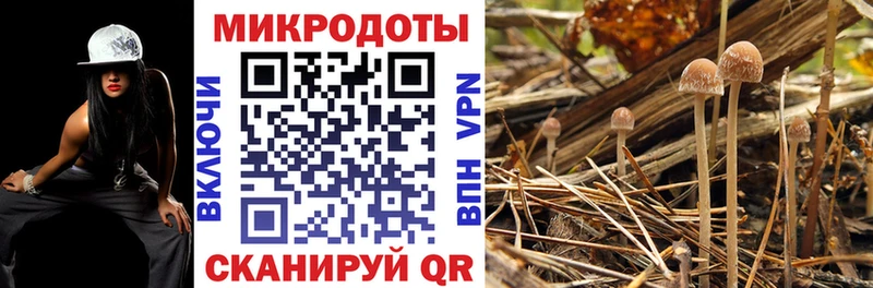 цена наркотик  Пермь  Псилоцибиновые грибы ЛСД 