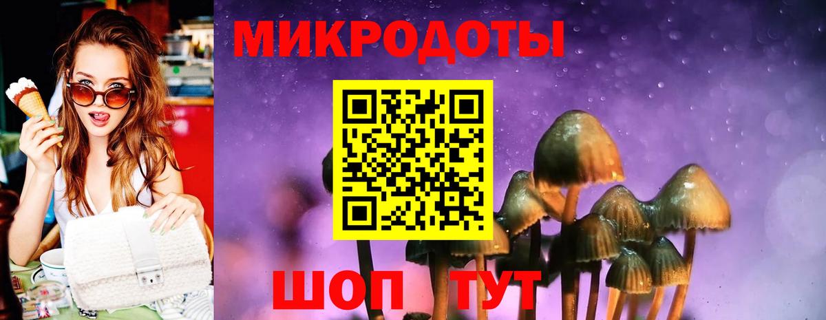 Псилоцибиновые грибы Cubensis Пермь